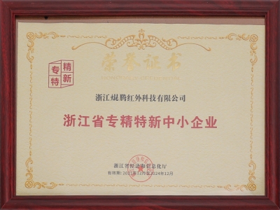 浙江省专精特新中小企业